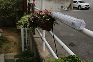 屋外用ＬＥＤ照明フィールドライトを柵に結束バンドで簡単設置