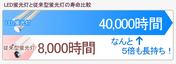 寿命比較表